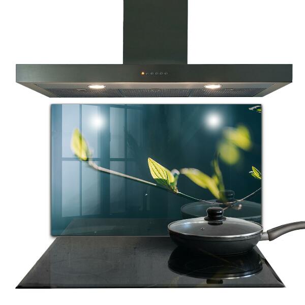 Konyhai fali panel Fényes levél az ágon