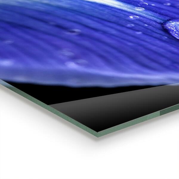 Konyhai fali panel Lila írisz virág