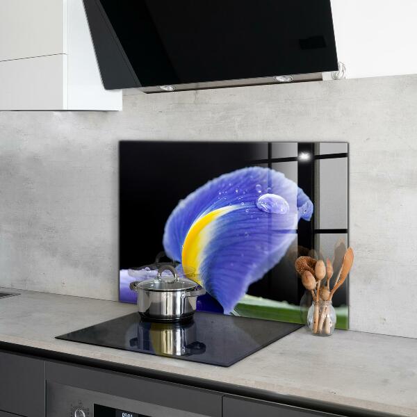 Konyhai fali panel Lila írisz virág