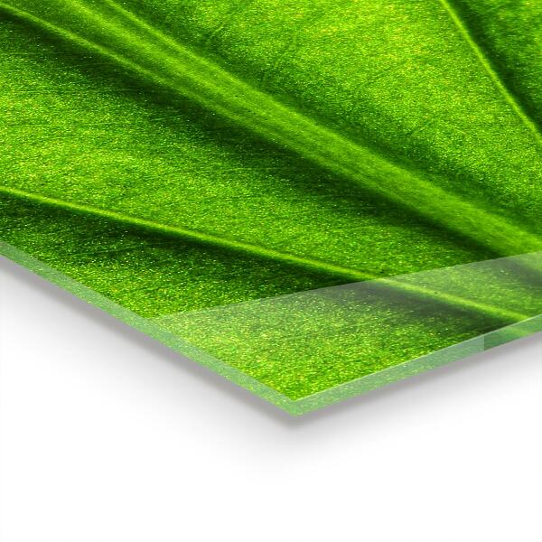 Konyhai fali panel Zöld levél részletek