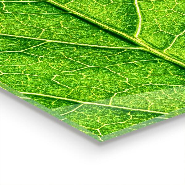 Konyhai fali panel Finom levélrészletek