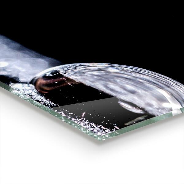 Konyhai üveg panel Egy csepp harmat reggel