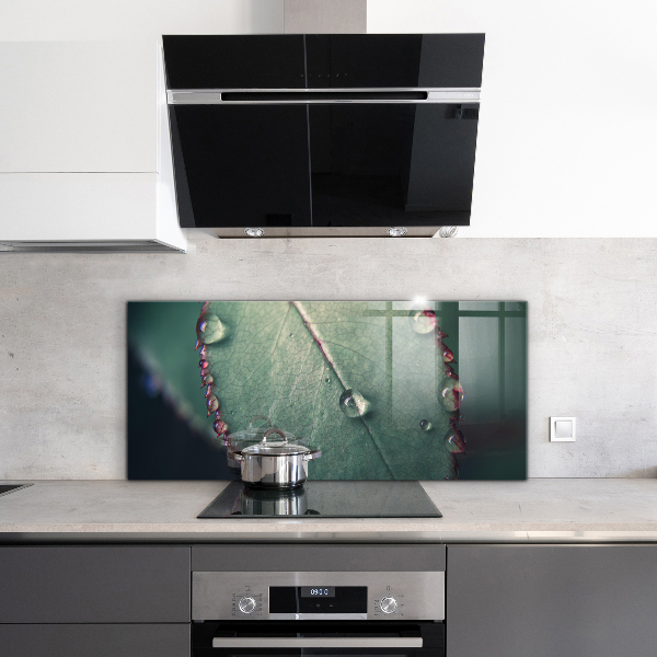 Konyhai fali panel Levél harmatcseppel