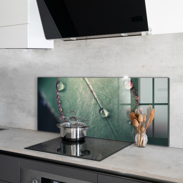 Konyhai fali panel Levél harmatcseppel