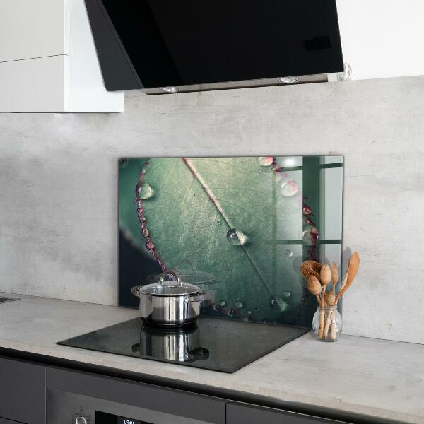 Konyhai fali panel Levél harmatcseppel