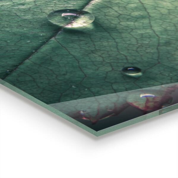 Konyhai fali panel Levél harmatcseppel