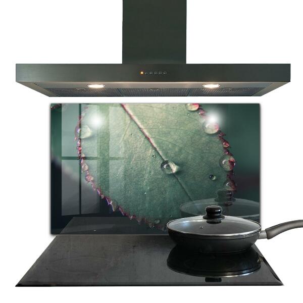 Konyhai fali panel Levél harmatcseppel