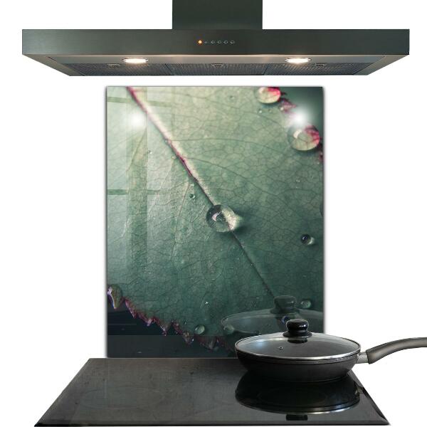 Konyhai fali panel Levél harmatcseppel