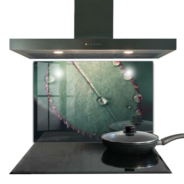 Konyhai fali panel Levél harmatcseppel