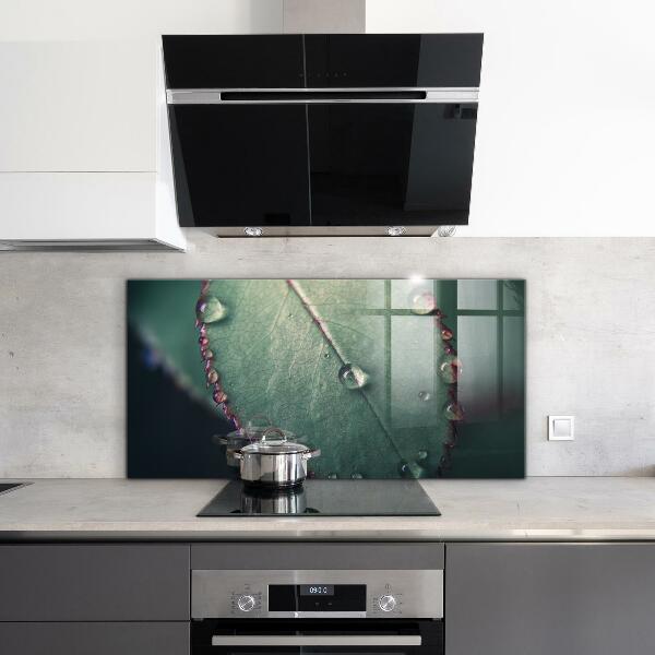 Konyhai fali panel Levél harmatcseppel