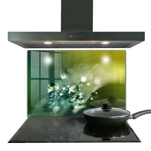 Konyhai fali panel Harmat a zöld leveleken