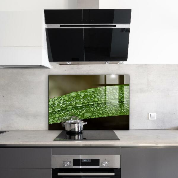 Konyhai fali panel Zöld levél eső után