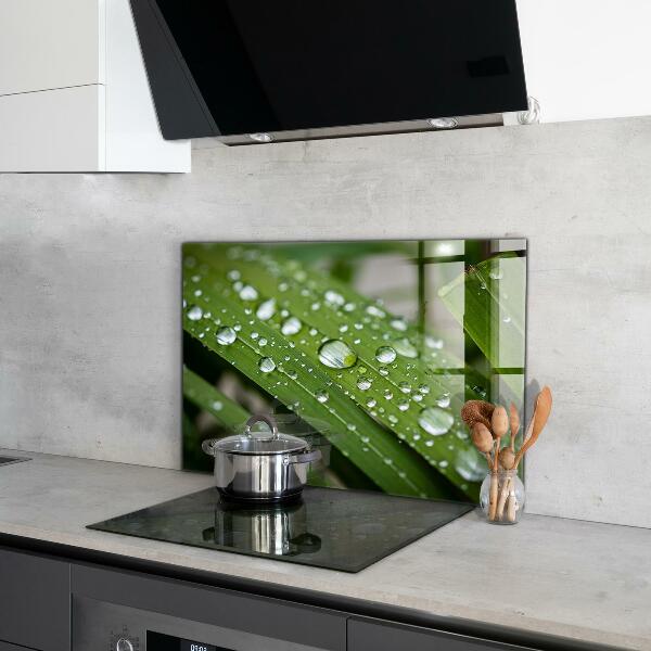 Konyhai fali panel Harmatcseppek a fűben