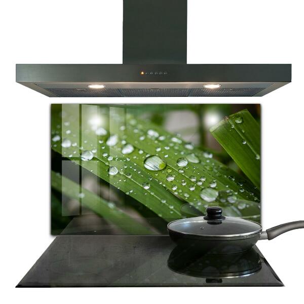 Konyhai fali panel Harmatcseppek a fűben