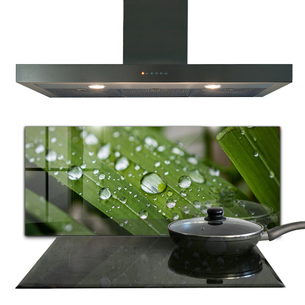 Konyhai fali panel Harmatcseppek a fűben