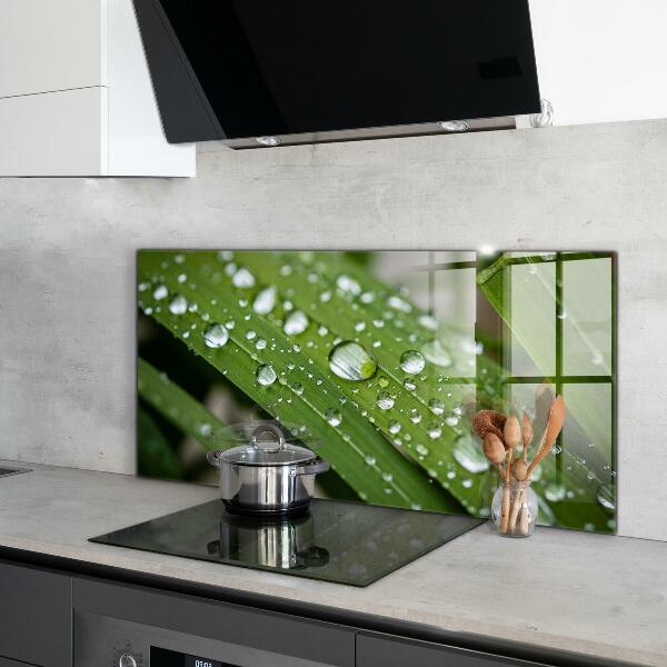 Konyhai fali panel Harmatcseppek a fűben