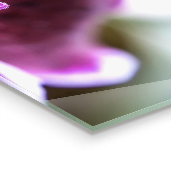 Konyhai fali panel Rózsaszín virág természet részletei