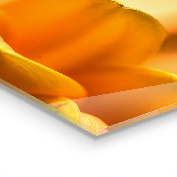 Konyhai fali panel Gerber virág