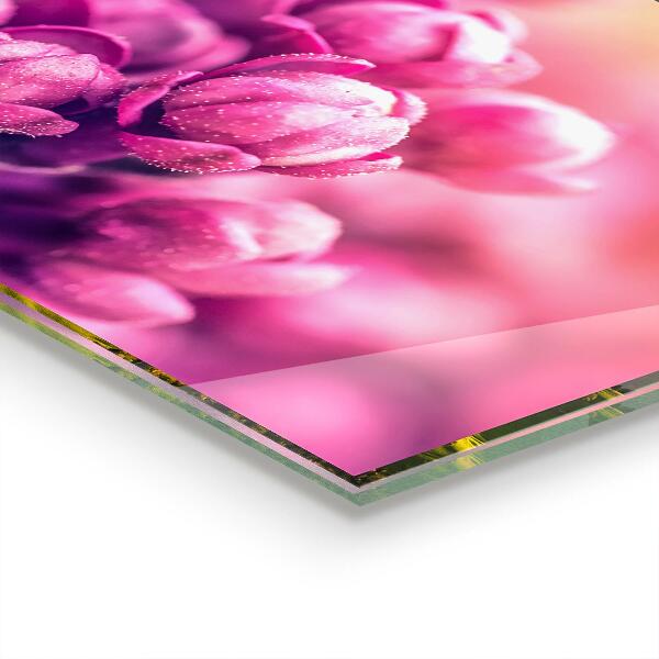 Konyhai fali panel Rózsaszín liliom természetes szépség