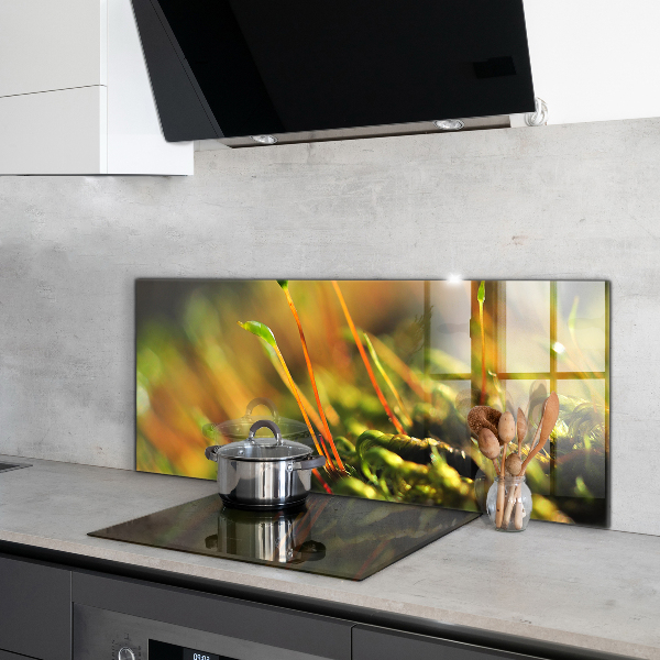 Konyhai fali panel Erdei moha részletek