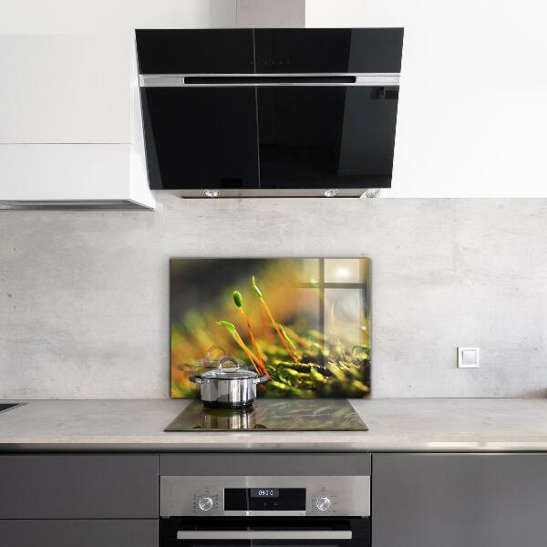 Konyhai fali panel Erdei moha részletek