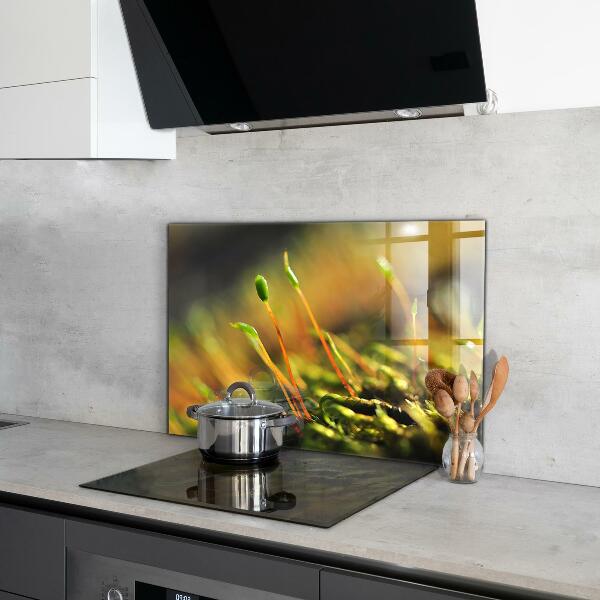 Konyhai fali panel Erdei moha részletek