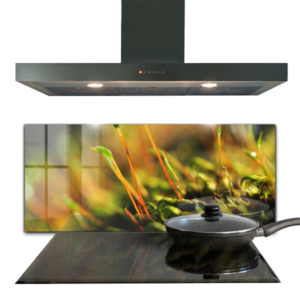 Konyhai fali panel Erdei moha részletek