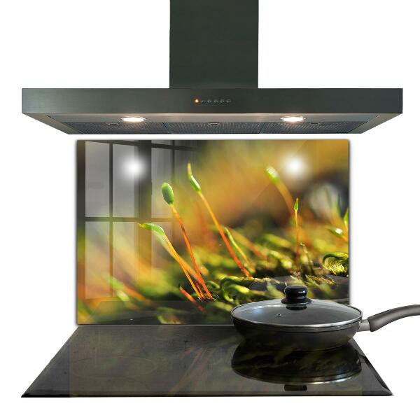 Konyhai fali panel Erdei moha részletek