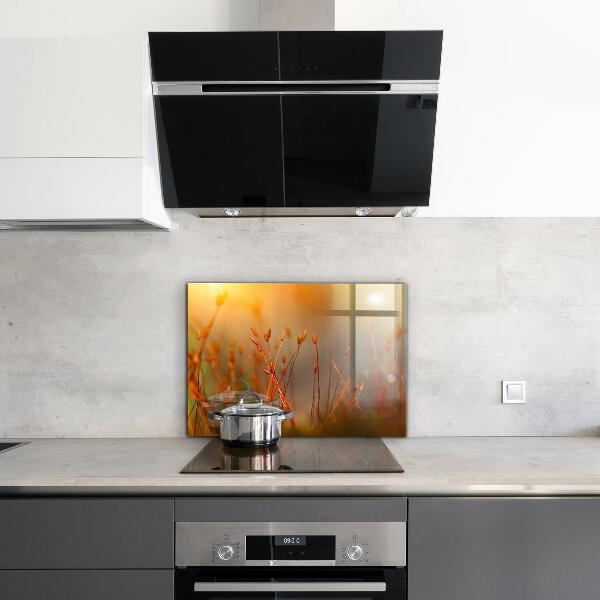 Konyhai fali panel Gabonamező naplementekor