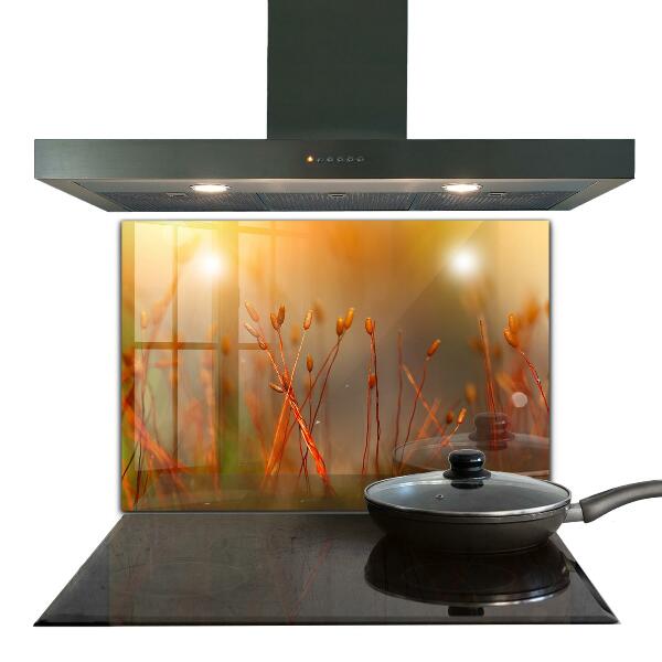 Konyhai fali panel Gabonamező naplementekor