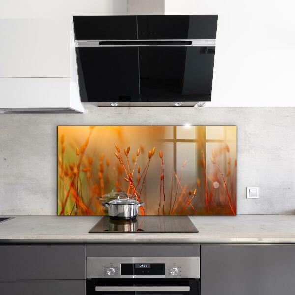 Konyhai fali panel Gabonamező naplementekor