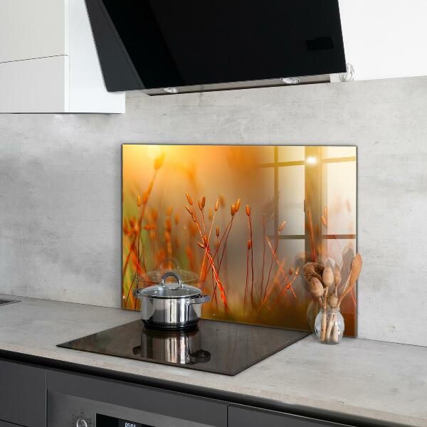Konyhai fali panel Gabonamező naplementekor
