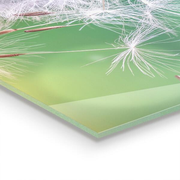 Konyhai fali panel Pitypang pitypang a szélben