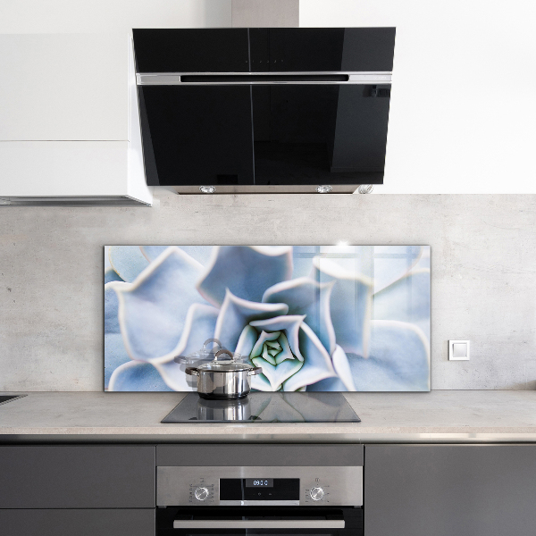 Konyhai fali panel Kaktusz zamatos