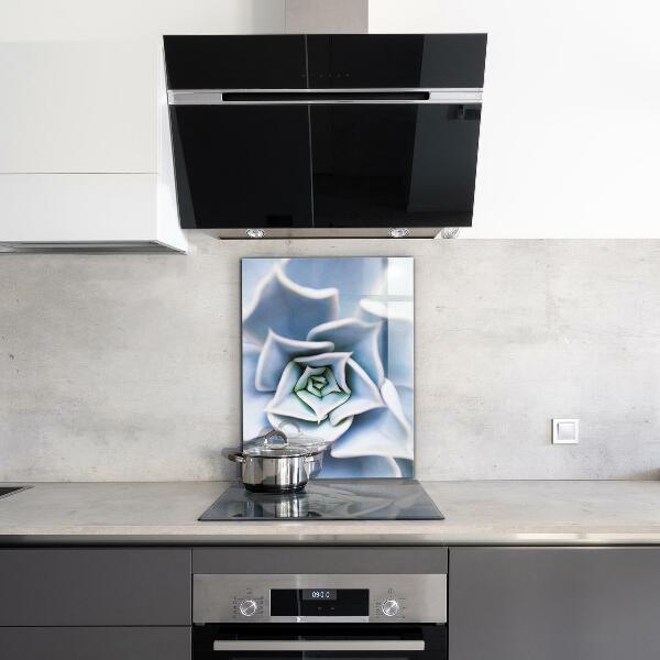 Konyhai fali panel Kaktusz zamatos