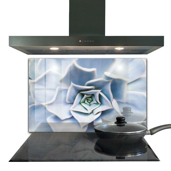 Konyhai fali panel Kaktusz zamatos