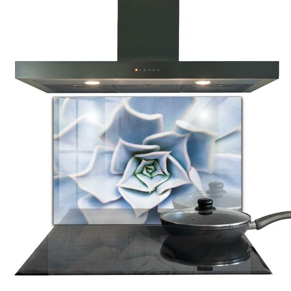 Konyhai fali panel Kaktusz zamatos