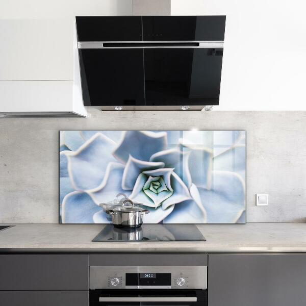 Konyhai fali panel Kaktusz zamatos