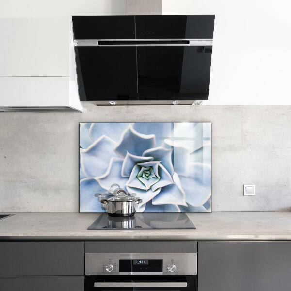 Konyhai fali panel Kaktusz zamatos