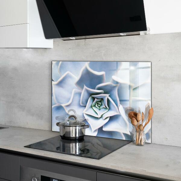 Konyhai fali panel Kaktusz zamatos