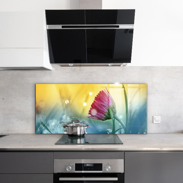 Konyhai fali panel Finom százszorszép a réten