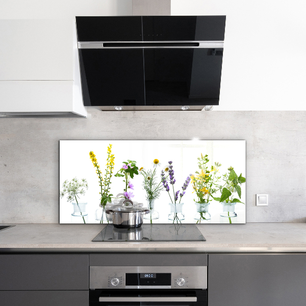 Konyhai fali panel Természetes gyógynövények egészsége