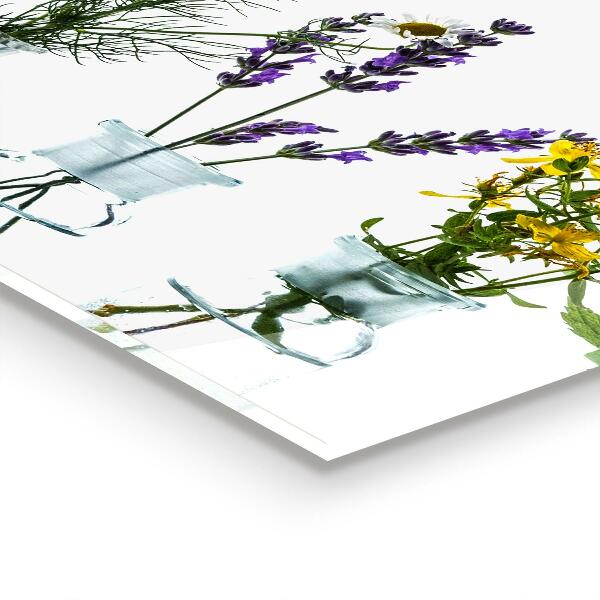 Konyhai fali panel Természetes gyógynövények egészsége