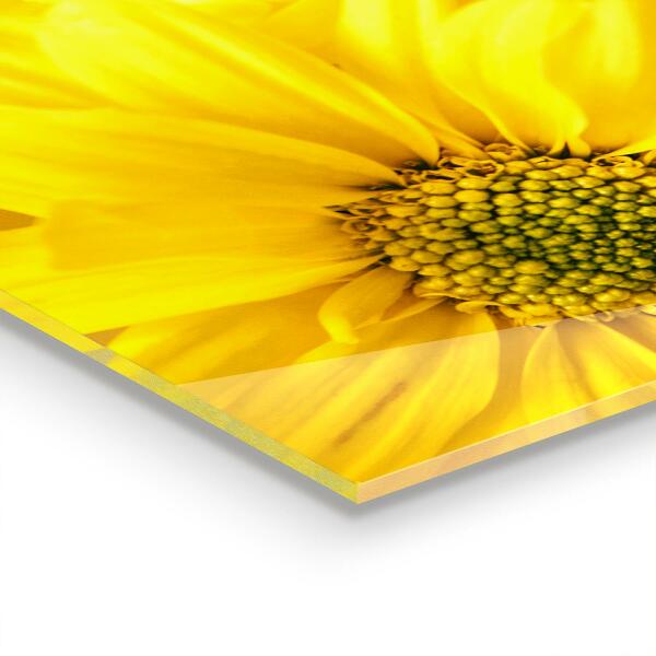 Konyhai fali panel Nyári sárga virágok