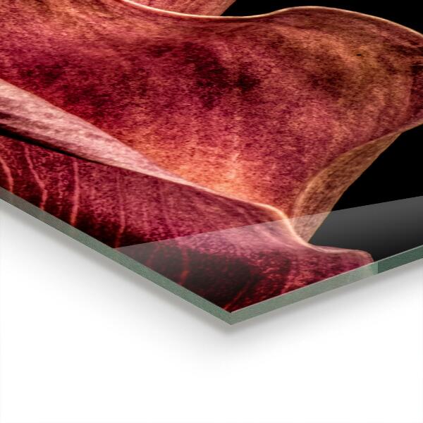 Konyhai fali panel Elegáns, finom levél