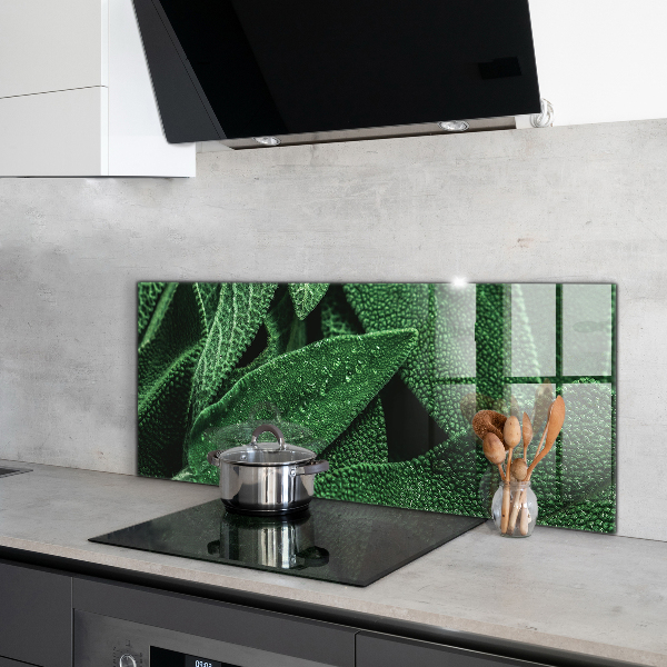 Konyhai fali panel Zöld levelek eső után