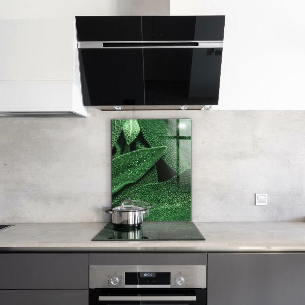 Konyhai fali panel Zöld levelek eső után
