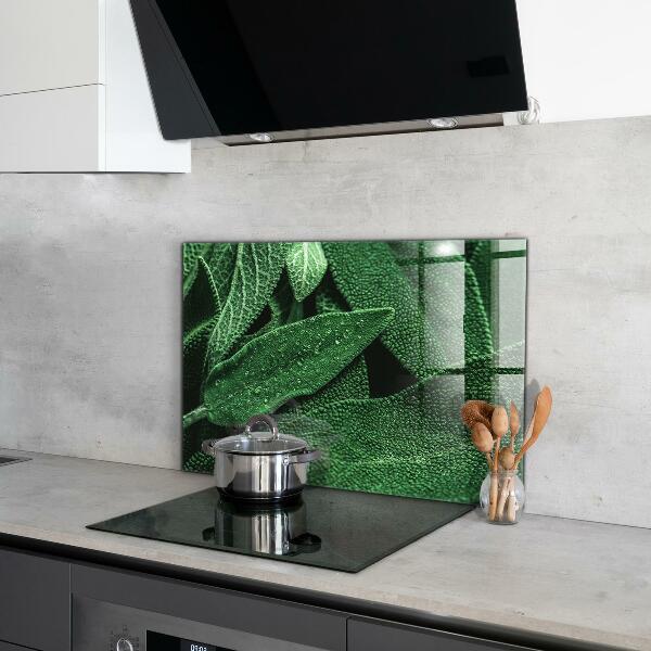 Konyhai fali panel Zöld levelek eső után