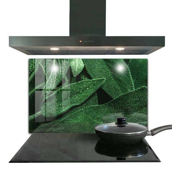 Konyhai fali panel Zöld levelek eső után