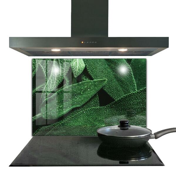 Konyhai fali panel Zöld levelek eső után